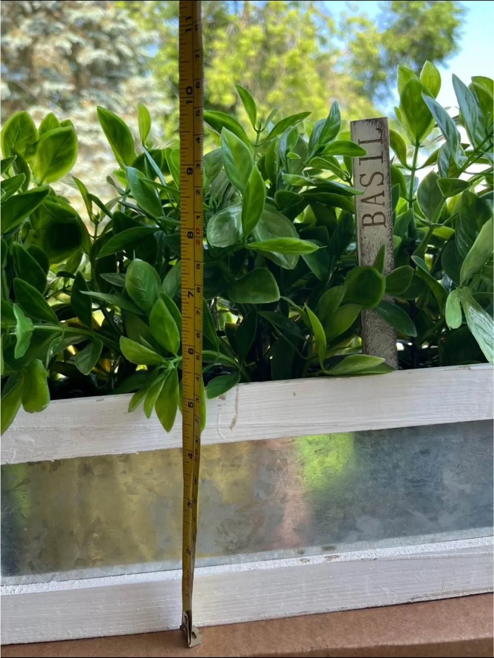 ARTIFICIAL BASIL PLANT IN WOOD AND ALUMINUM PLANTER WITH BASIL STAKE